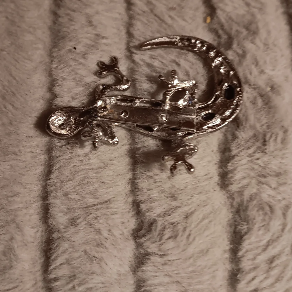 Lizard  pin - Picture 2 of 3